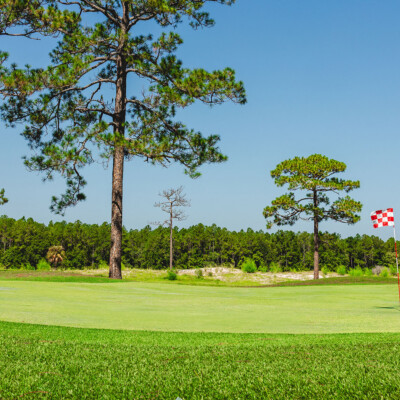 Pine royale green with flag