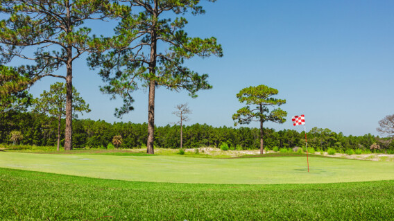 Pine royale green with flag