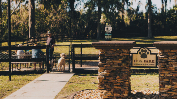 Southern hammock dog park