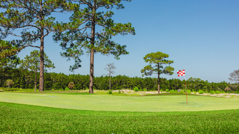 Pine royale green with flag